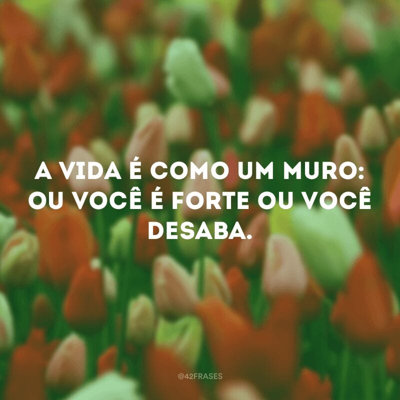 A vida é como um muro: ou você é forte ou você desaba.