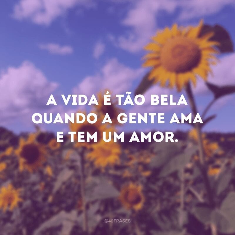 A vida é tão bela quando a gente ama e tem um amor.