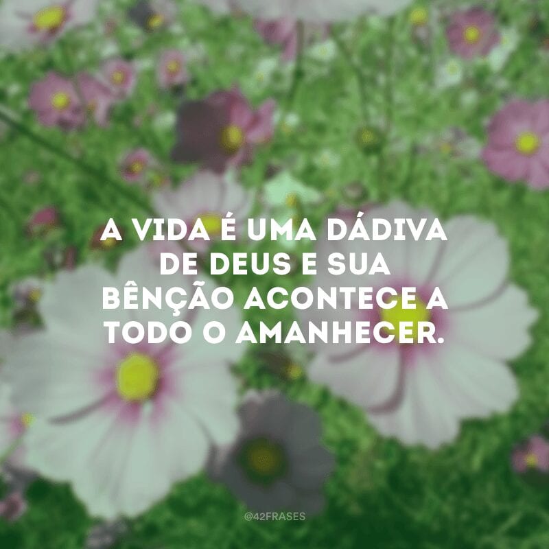 A vida é uma dádiva de Deus e sua bênção acontece a todo o amanhecer.