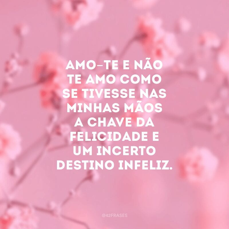 Amo-te e não te amo como se tivesse nas minhas mãos a chave da felicidade e um incerto destino infeliz.