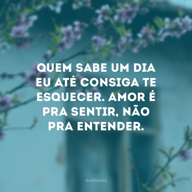 Quem sabe um dia eu até consiga te esquecer. Amor é pra sentir, não pra entender.