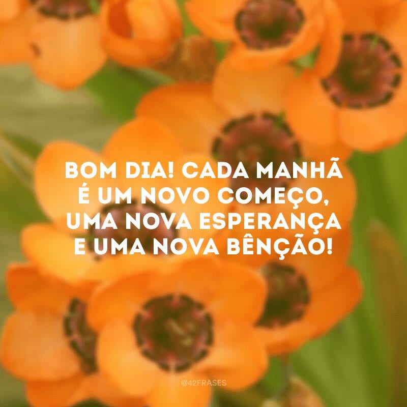 Bom dia! Cada manhã é um novo começo, uma nova esperança e uma nova bênção!