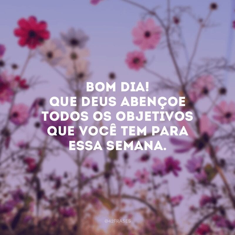 Bom dia! Que Deus abençoe todos os objetivos que você tem para essa semana.