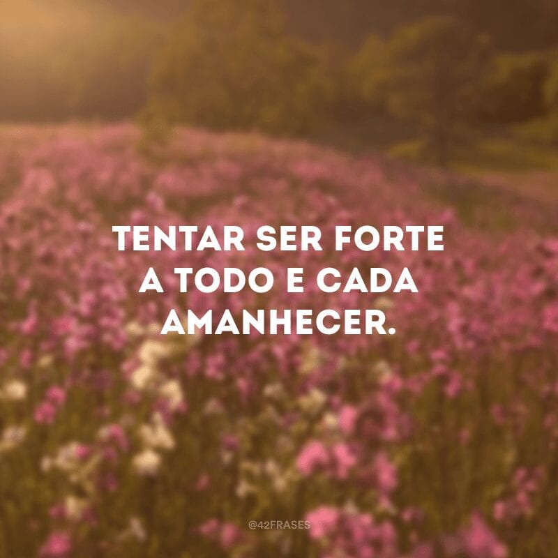 Tentar ser forte a todo e cada amanhecer. 