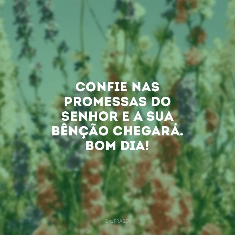 Confie nas promessas do Senhor e a sua bênção chegará. Bom dia!