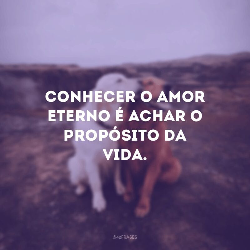 Conhecer o amor eterno é achar o propósito da vida.