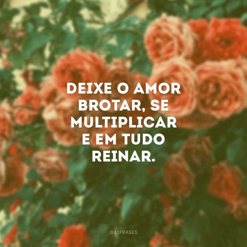 Deixe o amor brotar, se multiplicar e em tudo reinar.