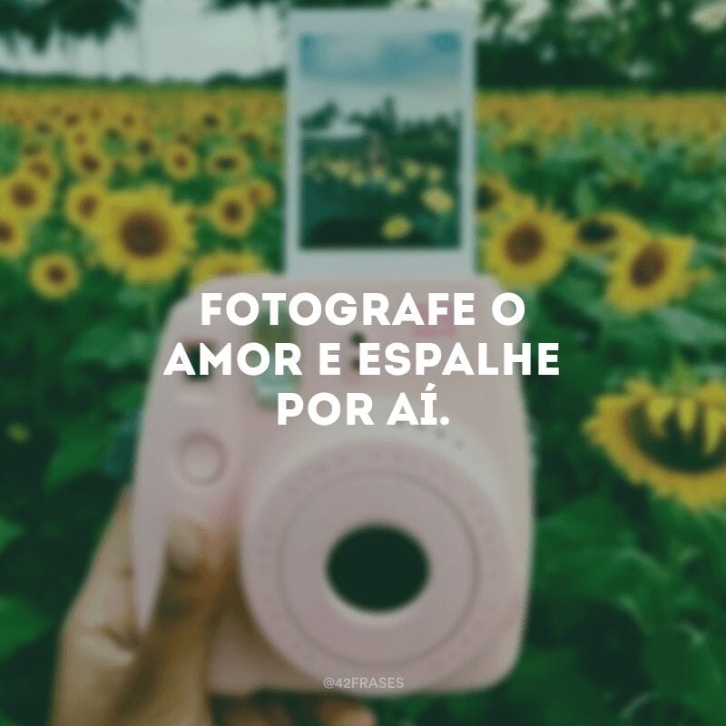 Fotografe o amor e espalhe por aí.
