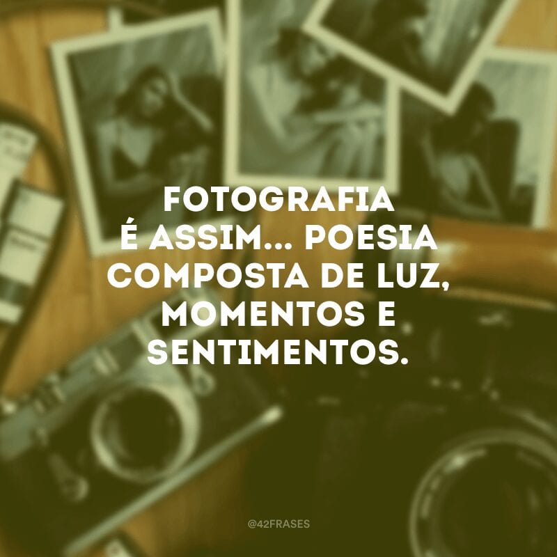 Fotografia é assim... Poesia composta de luz, momentos e sentimentos.