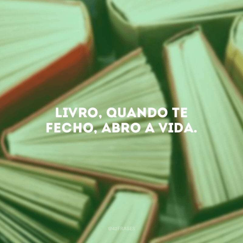 Livro, quando te fecho, abro a vida.