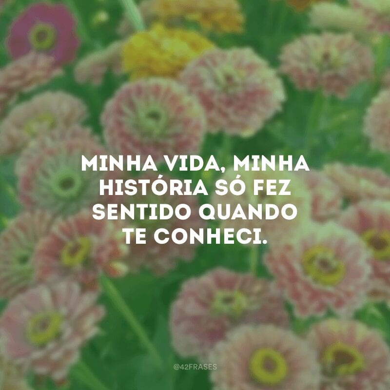 Minha vida, minha história só fez sentido quando te conheci.