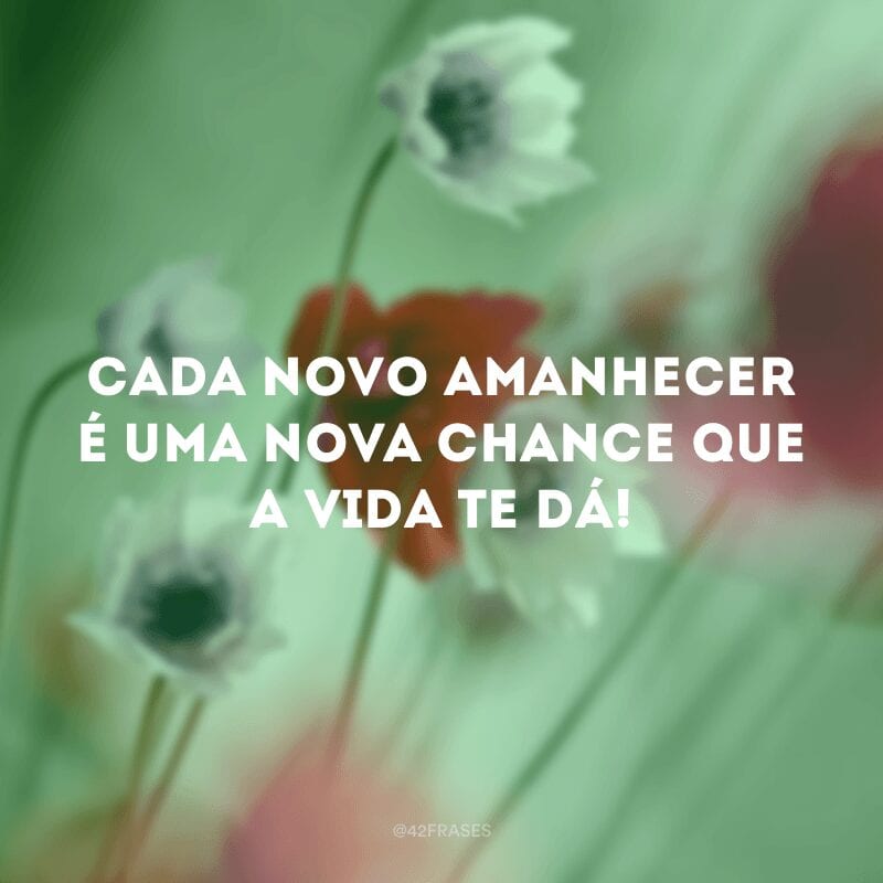 Cada novo amanhecer é uma nova chance que a vida te dá!