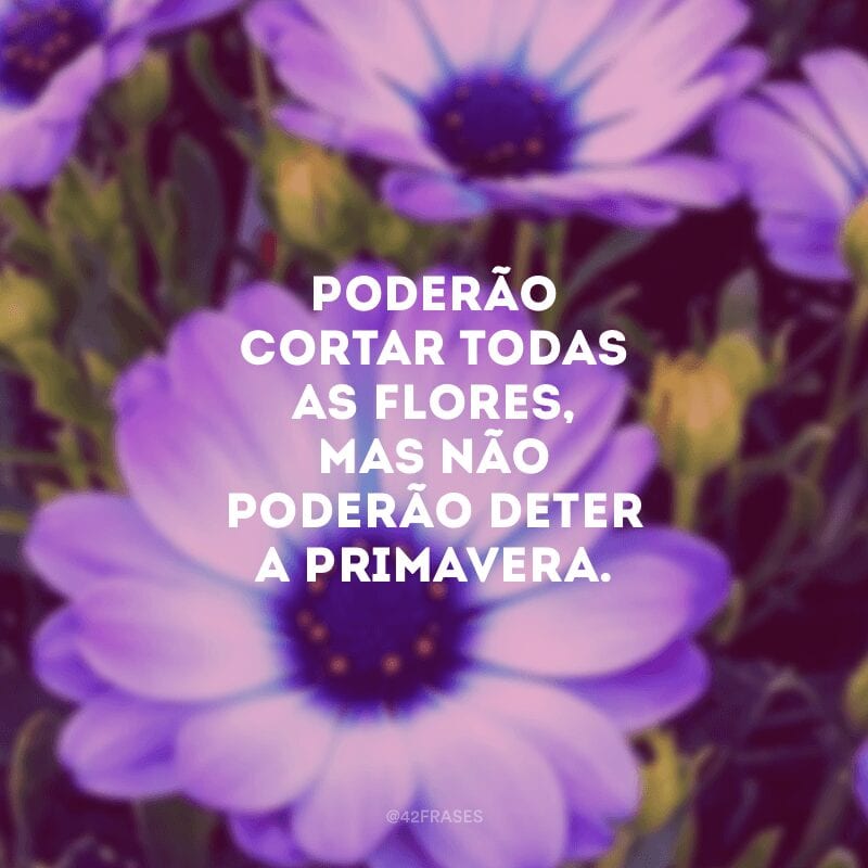 Poderão cortar todas as flores, mas não poderão deter a primavera.