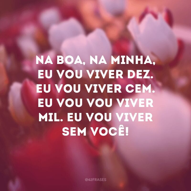 Na boa, na minha, eu vou viver dez. Eu vou viver cem. Eu vou vou viver mil. Eu vou viver sem você!