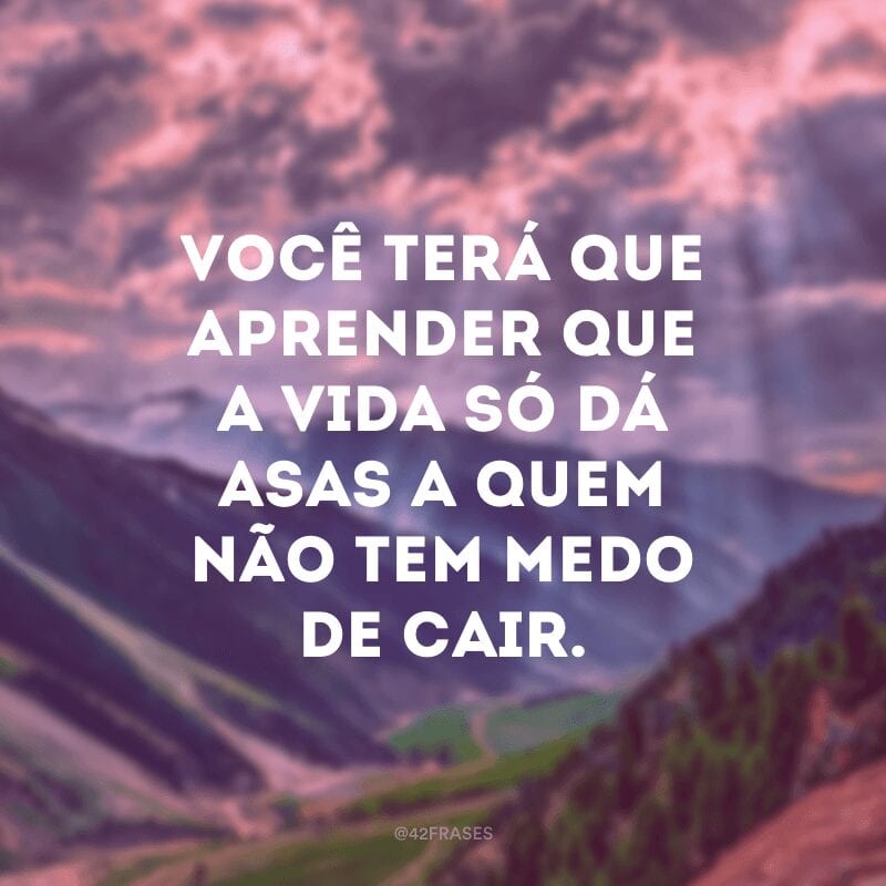 Você terá que aprender que a vida só dá asas a quem não tem medo de cair.