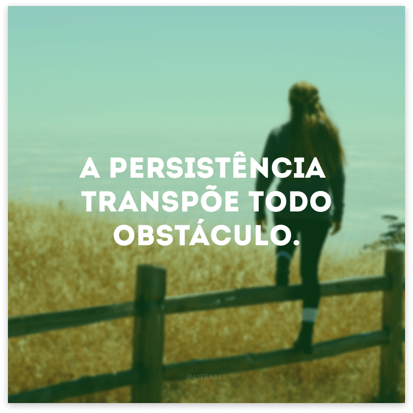 A persistência transpõe todo obstáculo.