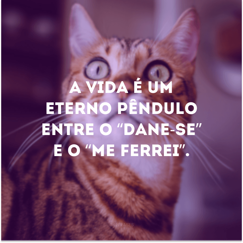 A vida é um eterno pêndulo entre o “dane-se” e o “me ferrei”.