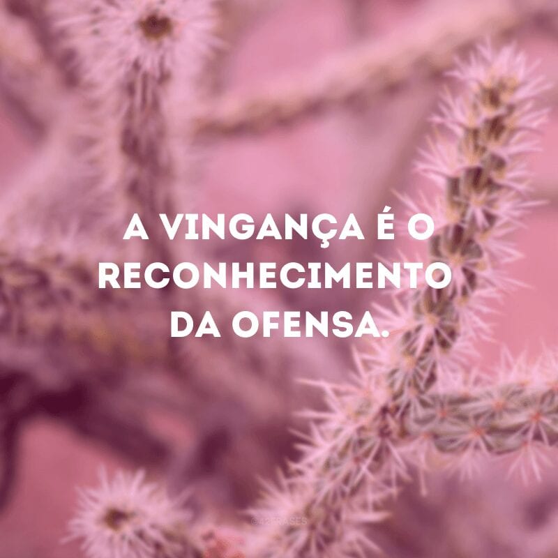 A vingança é o reconhecimento da ofensa. 