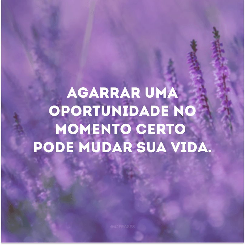 40 Frases Sobre Oportunidades Para Te Incentivar A Agarrá Las Sem Medo 