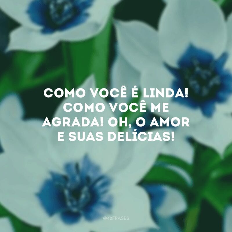 Como você é linda! Como você me agrada! Oh, o amor e suas delícias! 