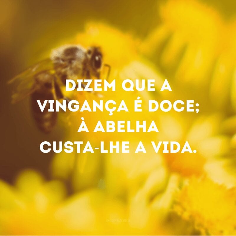 Dizem que a vingança é doce; à abelha custa-lhe a vida. 