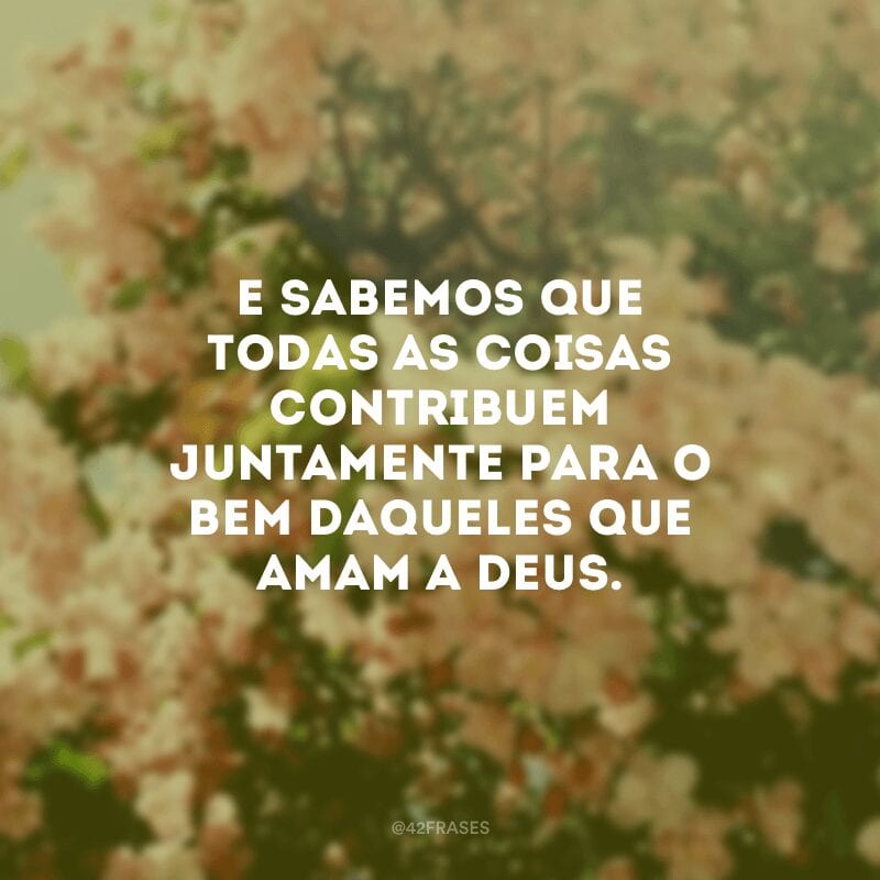 E sabemos que todas as coisas contribuem juntamente para o bem daqueles que amam a Deus. 