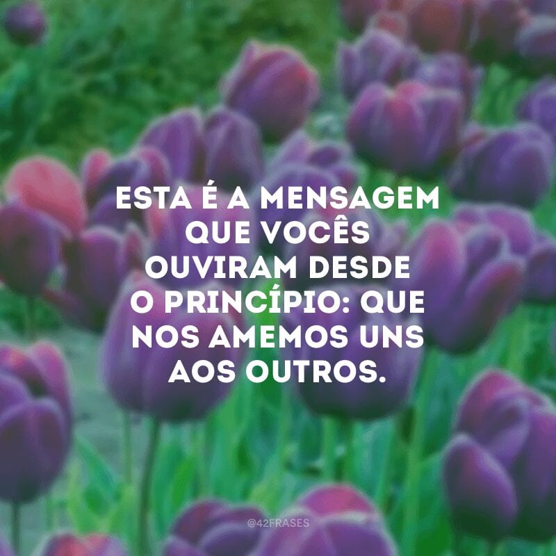 Esta é a mensagem que vocês ouviram desde o princípio: que nos amemos uns aos outros.  