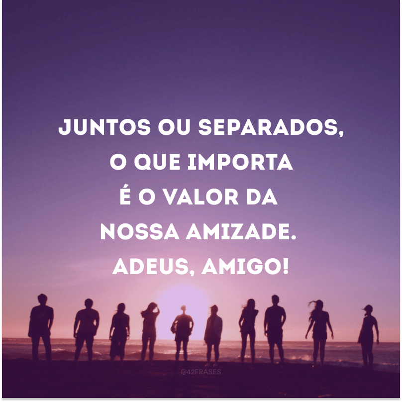 Juntos ou separados, o que importa é o valor da nossa amizade. Adeus, amigo!