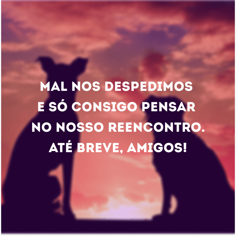 Mal nos despedimos e só consigo pensar no nosso reencontro. Até breve, amigos!