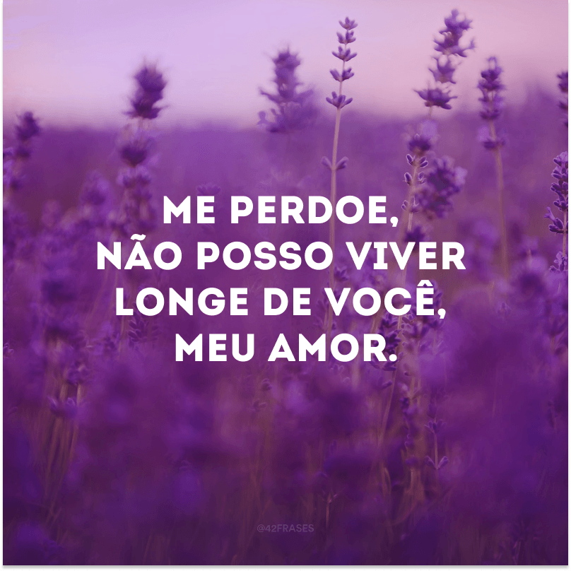 Me perdoe, não posso viver longe de você, meu amor.