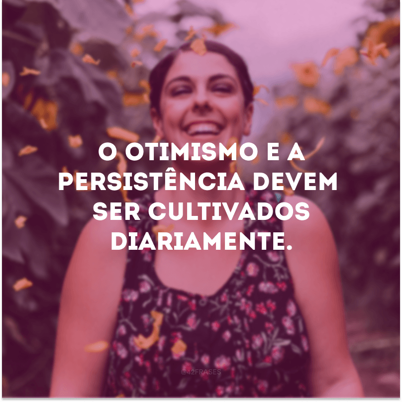 O otimismo e a persistência devem ser cultivados diariamente.