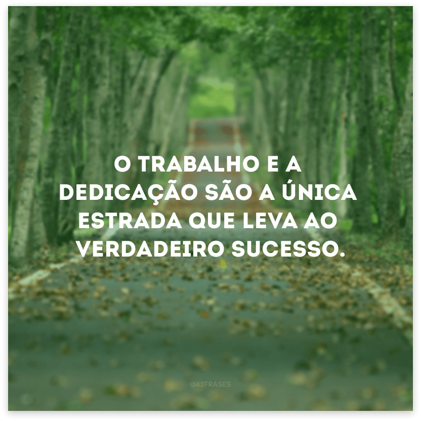 O trabalho e a dedicação são a única estrada que leva ao verdadeiro sucesso.