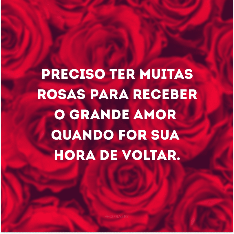 Preciso ter muitas rosas para receber o grande amor quando for sua hora de voltar.