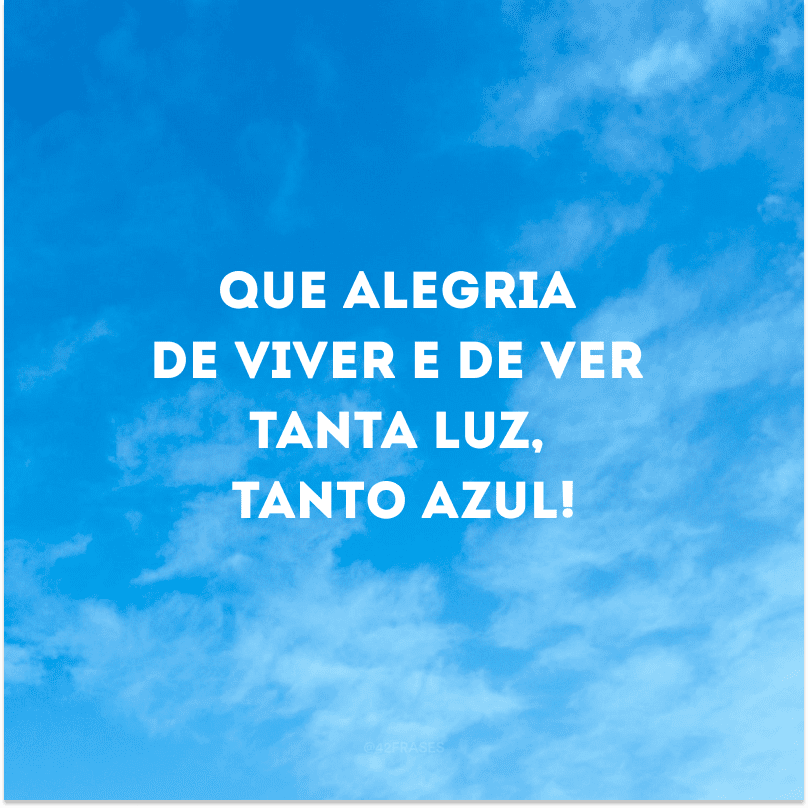 Que alegria de viver e de ver tanta luz, tanto azul!