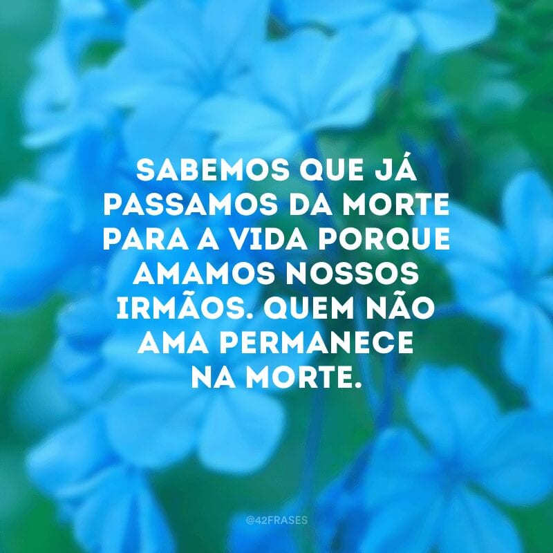 Sabemos que já passamos da morte para a vida porque amamos nossos irmãos. Quem não ama permanece na morte.  