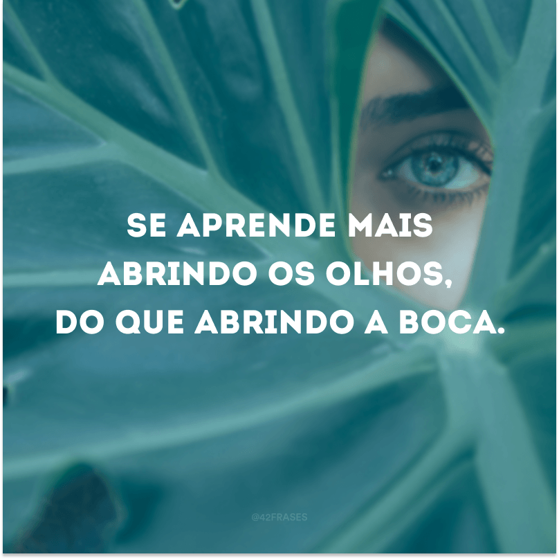 Se aprende mais abrindo os olhos, do que abrindo a boca.