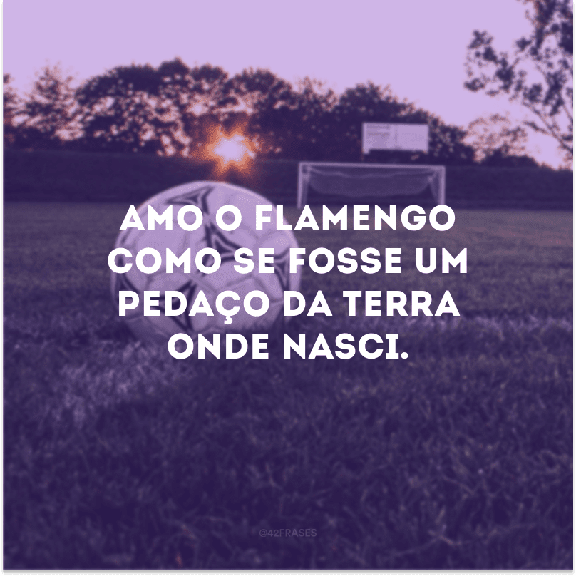 Amo o Flamengo como se fosse um pedaço da terra onde nasci. 