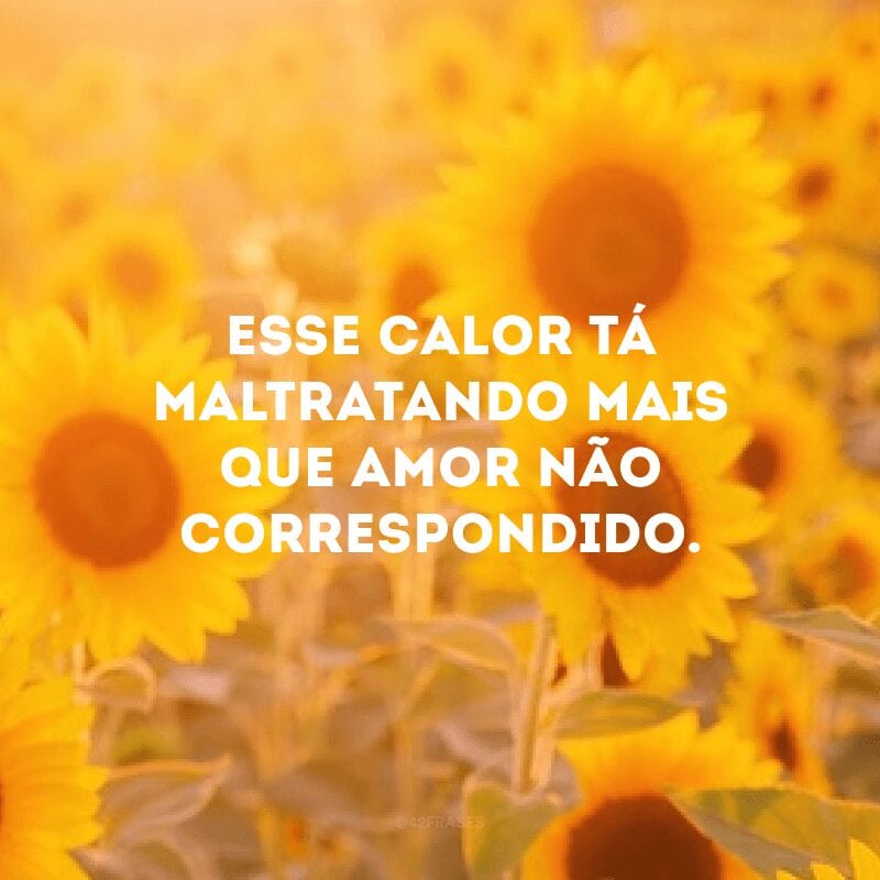 Esse calor tá maltratando mais que amor não correspondido.