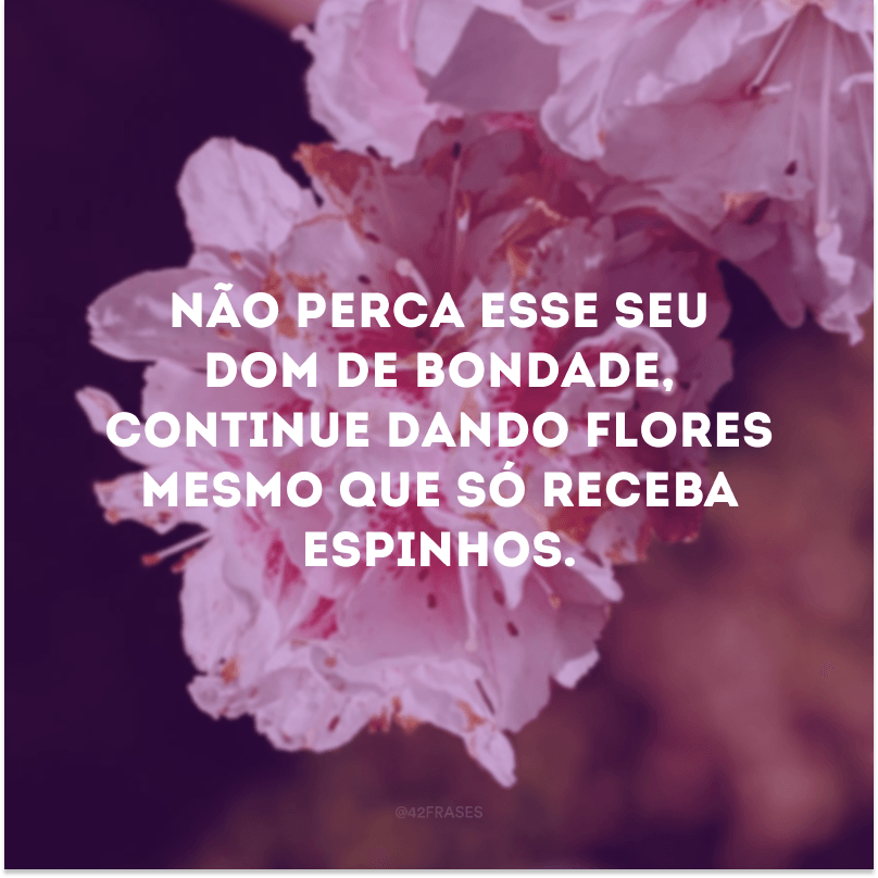 Não perca esse seu dom de bondade, continue dando flores mesmo que só receba espinhos.