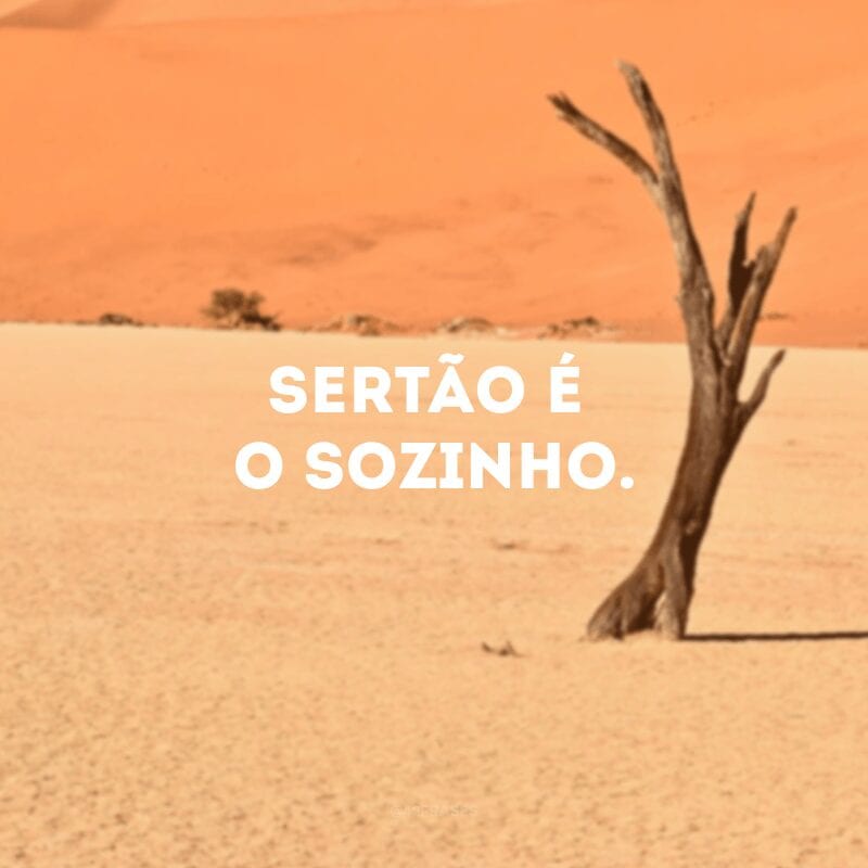 Sertão é o sozinho.