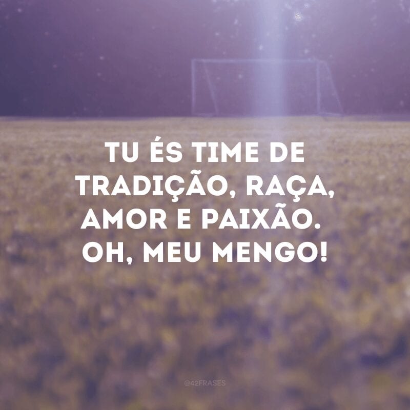 Tu és time de tradição, raça, amor e paixão. Oh, meu Mengo!