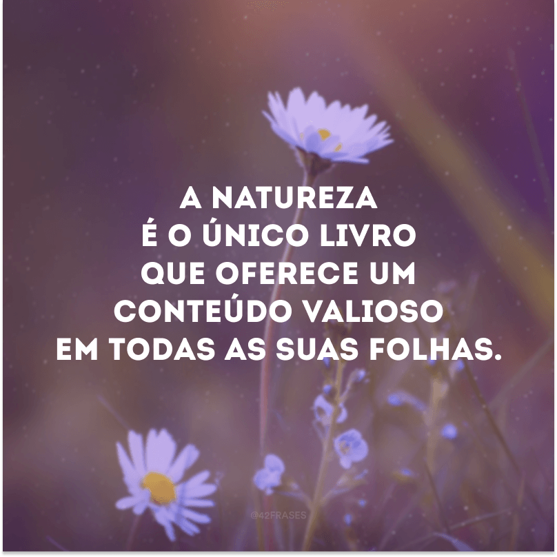 A natureza é o único livro que oferece um conteúdo valioso em todas as suas folhas.