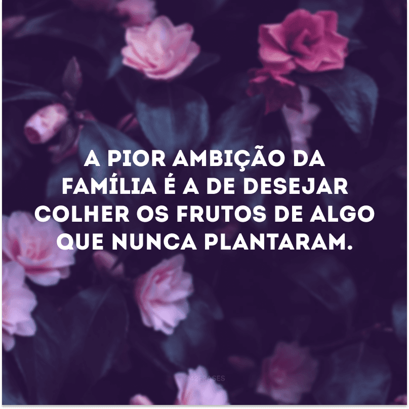 A pior ambição da família é a de desejar colher os frutos de algo que nunca plantaram.