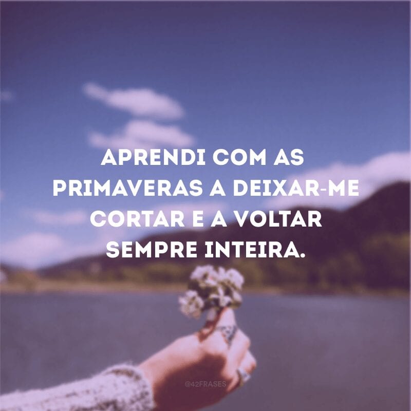 Aprendi com as primaveras a deixar-me cortar e a voltar sempre inteira.