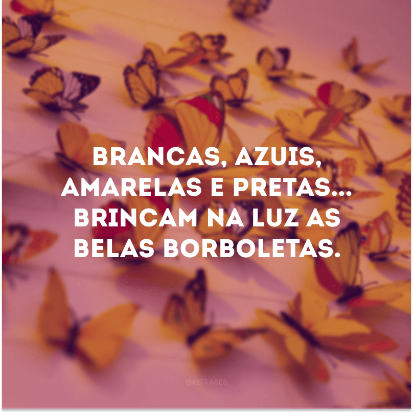 Brancas, azuis, amarelas e pretas... Brincam na luz as belas borboletas. 