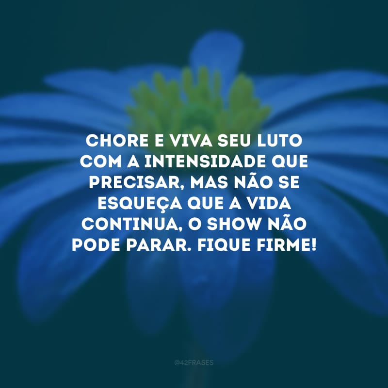 Chore e viva seu luto com a intensidade que precisar, mas não se esqueça que a vida continua, o show não pode parar. Fique firme!