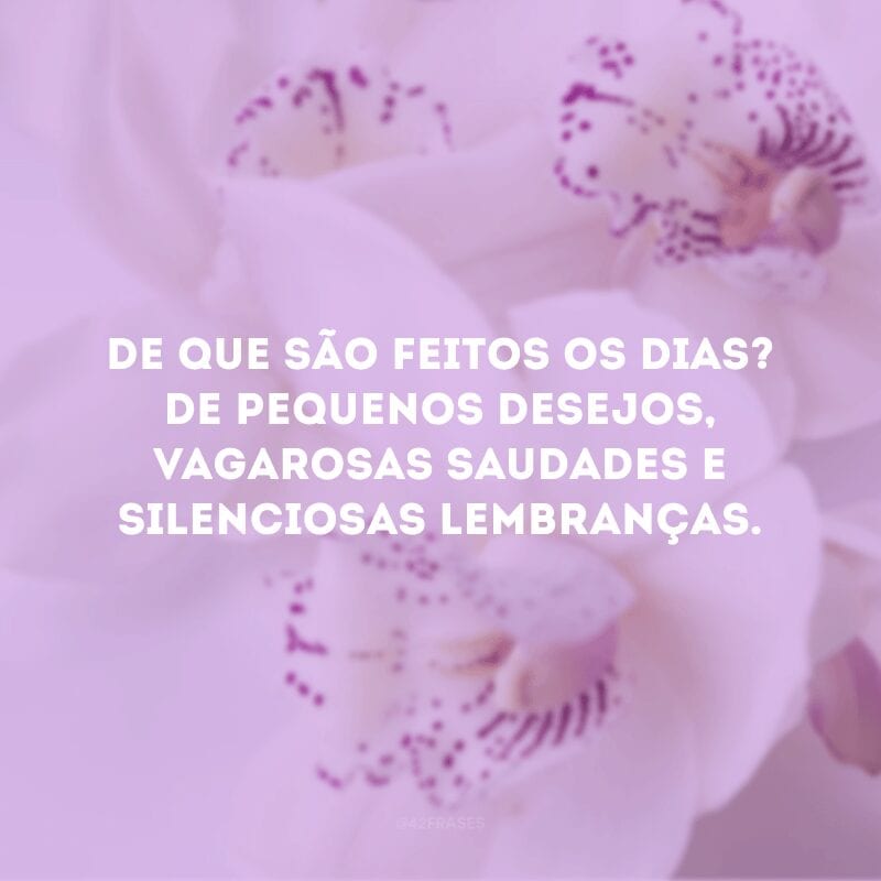 De que são feitos os dias? De pequenos desejos, vagarosas saudades e silenciosas lembranças.