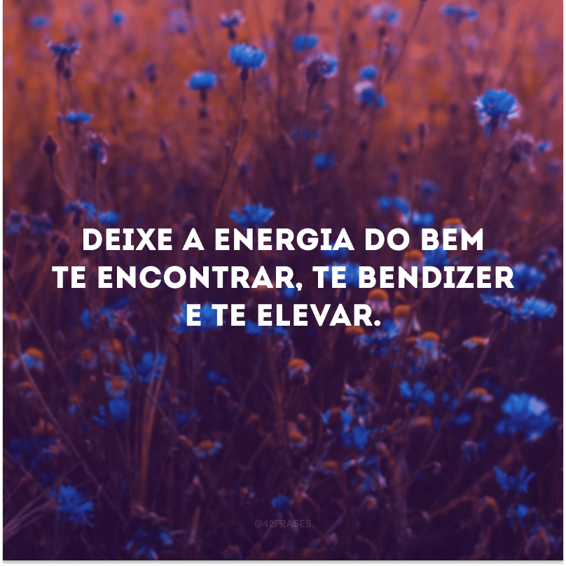 Deixe a energia do bem te encontrar, te bendizer e te elevar. 