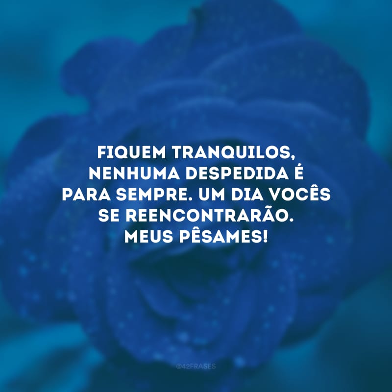 Fiquem tranquilos, nenhuma despedida é para sempre. Um dia vocês se reencontrarão. Meus pêsames!