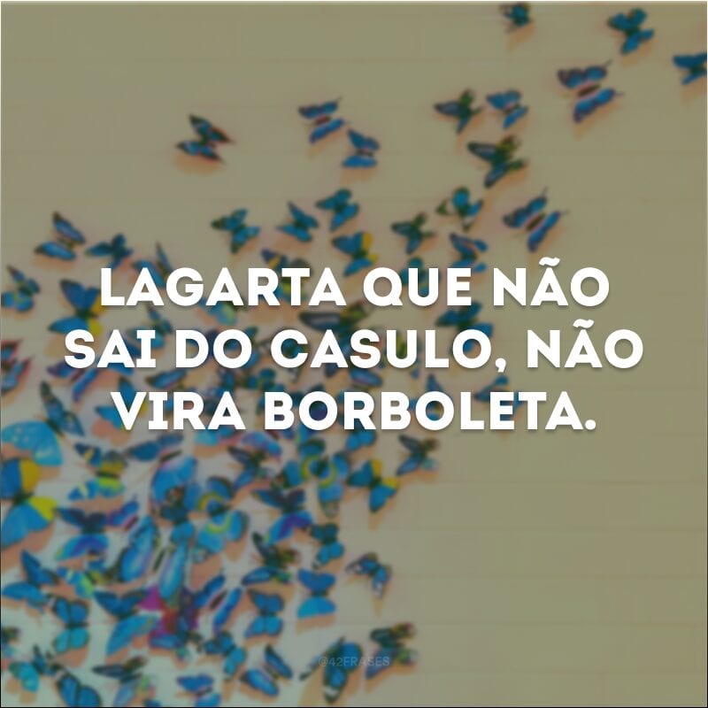 Lagarta que não sai do casulo, não vira borboleta. 